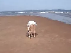 Bucetas e bundas bem, a mata