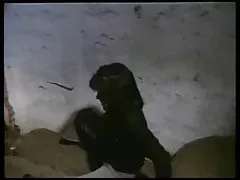 Quente adolescentes peitos Grandes fodido rígido