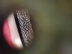 Videos rabudas câmera escondida no 11